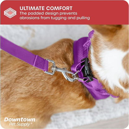 Downtown Pet Supply Step-in Dog Harness – No Pull, Adjustable Padded Mesh - Image 6