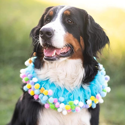 Lionheart glory Birthday Dog Collars - Image 4