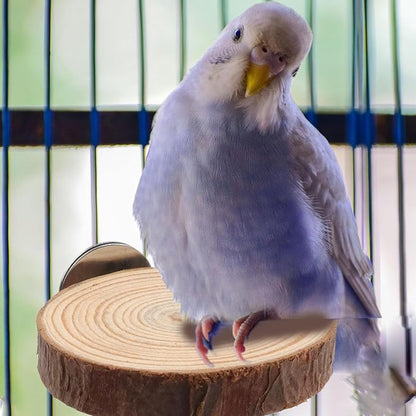 Wood Bird Perch Stand for Cage, Natural Round Wooden Parrot Platform Bird Perch - Image 6