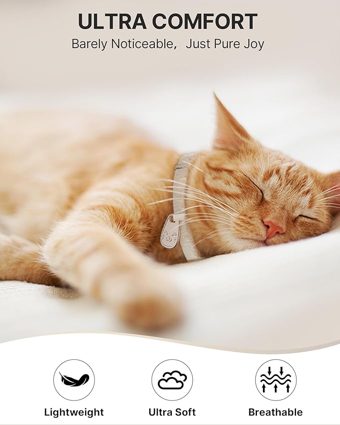 Cat Collar with QR Code Name Tag, Breakaway Kitten Collar - Image 4