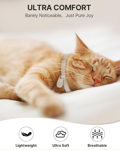 Cat Collar with QR Code Name Tag, Breakaway Kitten Collar - Image 4