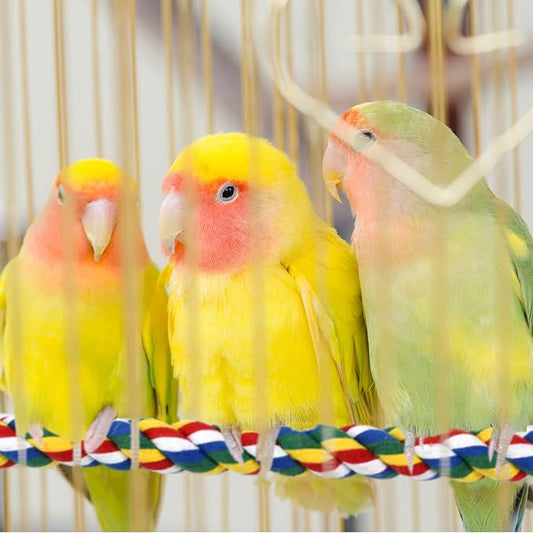 Bird Rope Perches for Parrots, Cockatiels, Budgie Cages Comfy Birds Colorful - Image 2