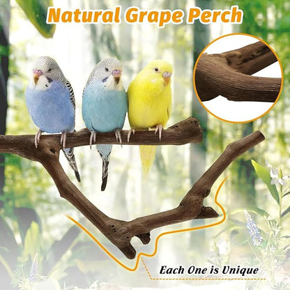 kathson Natural Parrot Perch Bird Stand Pole Wild Grape Stick Paw Grinding Fork - Image 3
