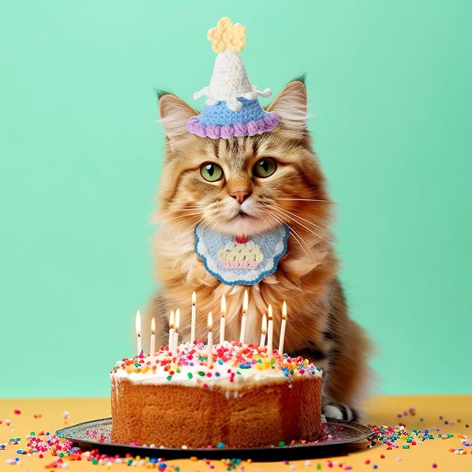 Sanwuta 2 Pcs Cat Birthday Party Supplies, Knit Cat Hat Kitten Birthday Bib - Image 6