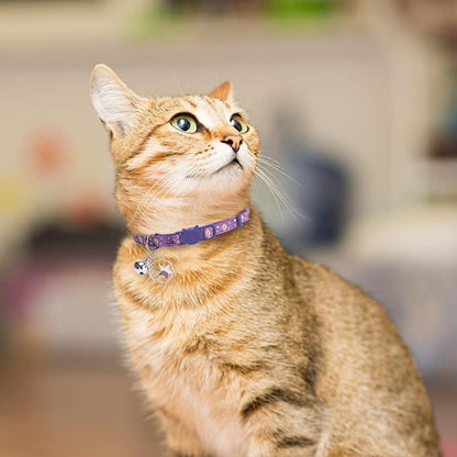 PUPTECK 3 Pack Cat Collar with Bells Breakaway - Image 2