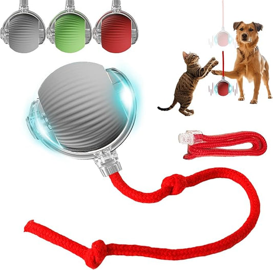Interactive Dog Cat Toy Ball, Automatic Moving Bouncing Rolling, by Unknown