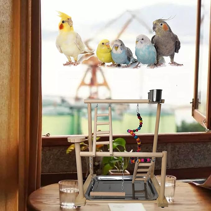 Parrots Playground, Bird Play Gym Wood Perch Stand Colours Revolving Climb - Image 2