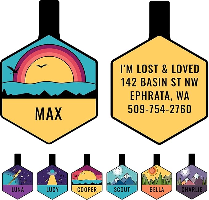 GoTags Silent Dog Tag, Personalized Engraved Hexagon Silicone Dog and Cat Name by GoTags