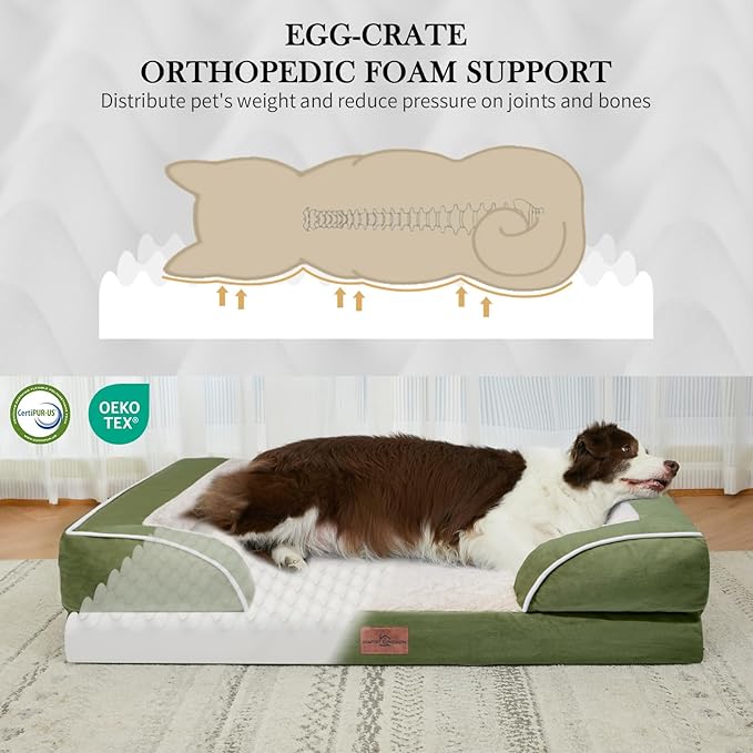 Comfort Expression Orthopedic Dog Bed - Image 2
