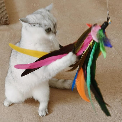 Cat Toys Interactive for Indoor Cats, Fishing Pole Toy, Retractable Cat Wand - Image 4