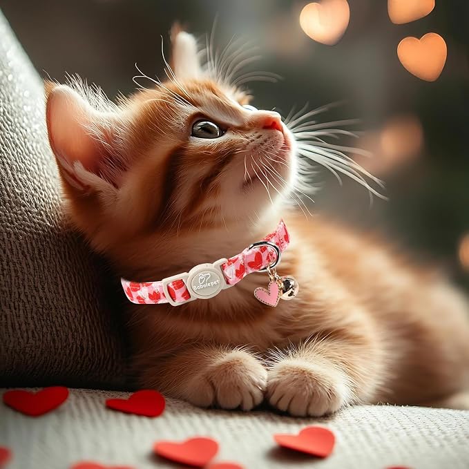 2 Pack Valentines Cat Collars - Image 6