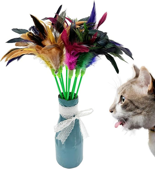 Interactive Cat Wand Feather Toys, 10 Pieces Feathers Stick Cat Toys - Image 2