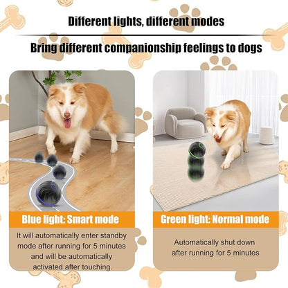 Valentines Day Gifts Interactive Dog Toys Dogs Ball, Moving Dog Toy - Image 3