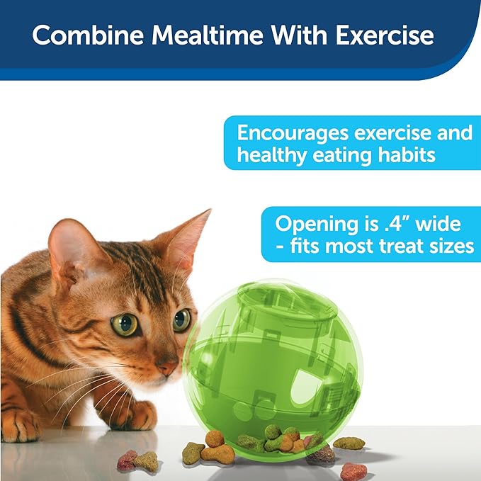 PetSafe SlimCat Interactive Feeder - Image 4