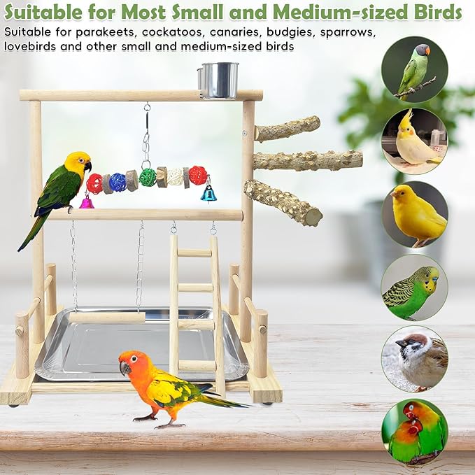 kathson Bird Playground Parrot Perch Stand Toys, Birds Wood Play Gym Activity - Image 5