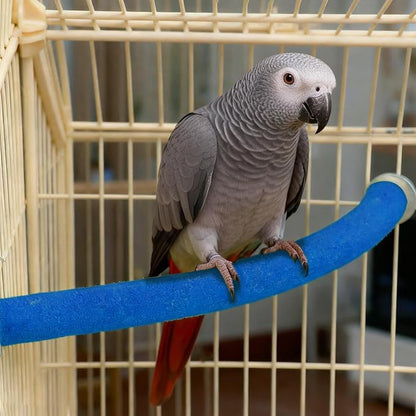 Rypet Parrot Perch Stand Toy Used - Image 3