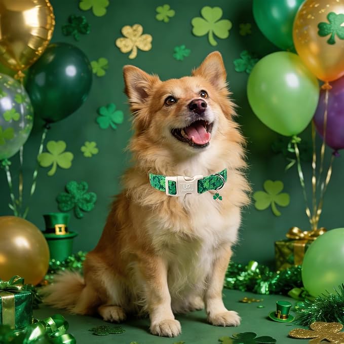 St. Patrick's Day Dog Collar, UP URARA PUP Shamrock Adjustable Pet Collar - Image 6