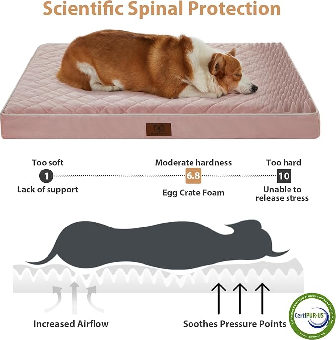 WNPETHOME Orthopedic Giant Dog Beds Large Sized Dog, Waterproof Extra Large - Image 3