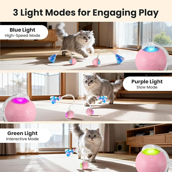 Rocfish Durable Interactive Cat Toys - Image 3
