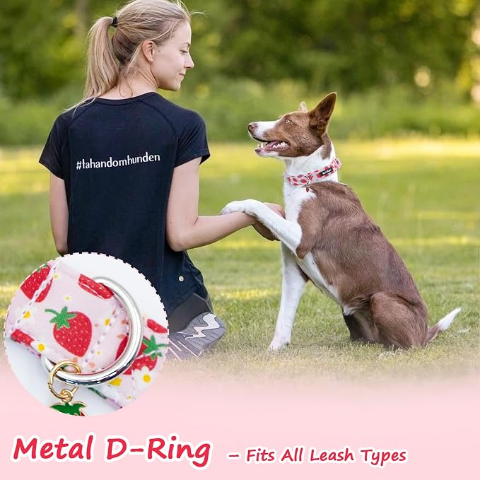 Strawberry Dog Collar, Cute Pink Dog Collars - Image 6