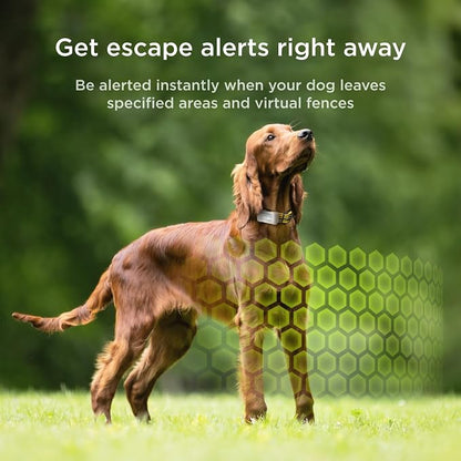 Petcube GPS Tracker for Dogs | Pet GPS Location Tracker - Image 3