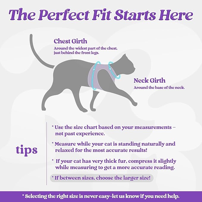 rabbitgoo Cat Harness and Leash Set - Image 2