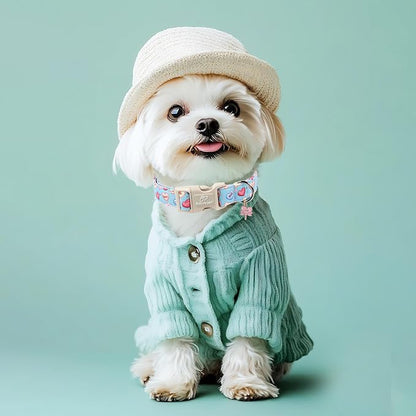 Valentines Dog Collar for Small Dogs - Image 2
