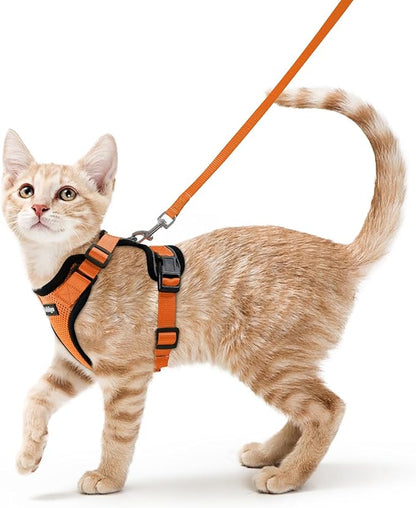 rabbitgoo Cat Harness and Leash by rabbitgoo
