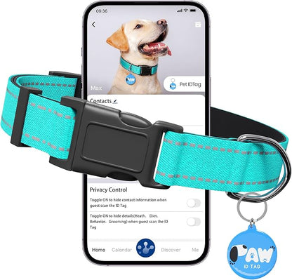 Reflective Dog Collar for Small Dogs by Pawduct