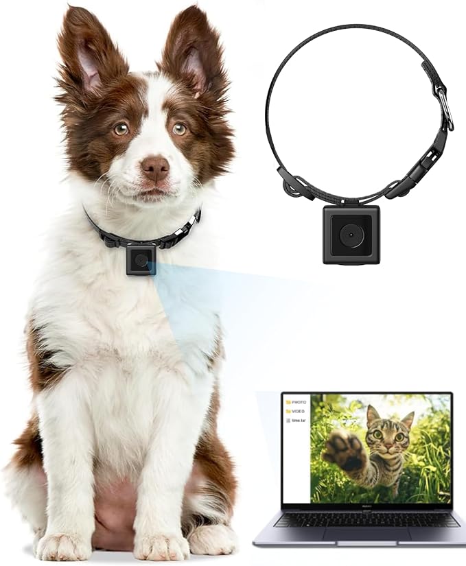 Dog Camera Collar 1080P HD Video Recording Pet POV Cam, NO WiFi NO APP by Unknown