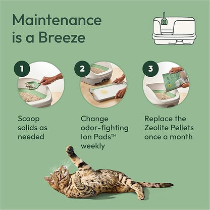 Purina Tidy Cats Litter Pellets, Breeze Refill Litter Pellets in Recyclable Box - Image 7