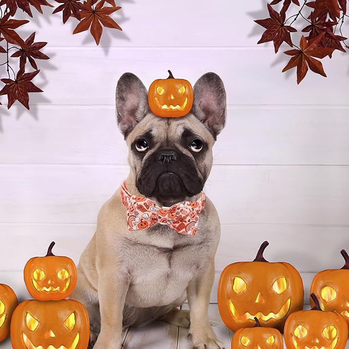 Halloween Dog Collar, Pet Collar Dog Bow Pumpkin Girl Boy Holiday Pet Collar - Image 6