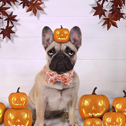 Halloween Dog Collar, Pet Collar Bow Pumpkin Pet Collar Girl Boy Holiday Pet - Image 6