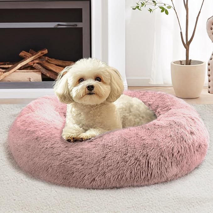 JOLLYVOGUE Calming Small Dog & Cat Bed by JOLLYVOGUE