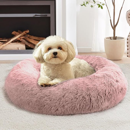 JOLLYVOGUE Calming Dog Bed for Small Dogs by JOLLYVOGUE