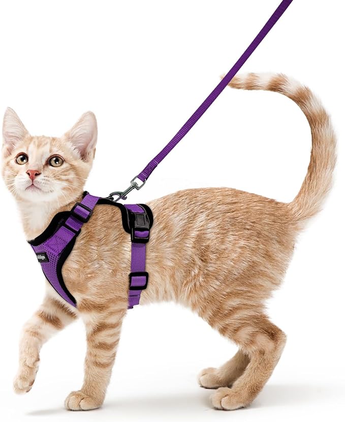 rabbitgoo Cat Harness and Leash by rabbitgoo