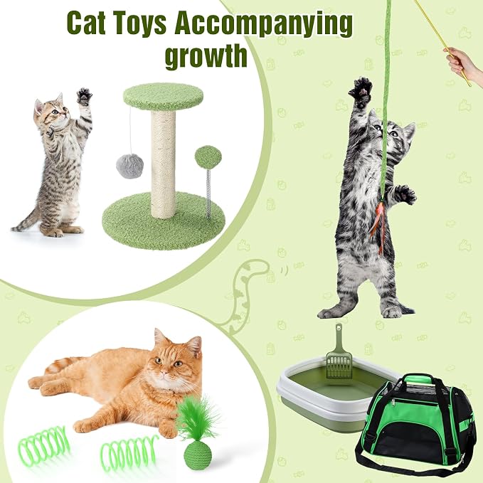 Eccliy Kitten Starter Kit, Pet Toy, Folding Carrier, Climbing Frame, Automatic - Image 7