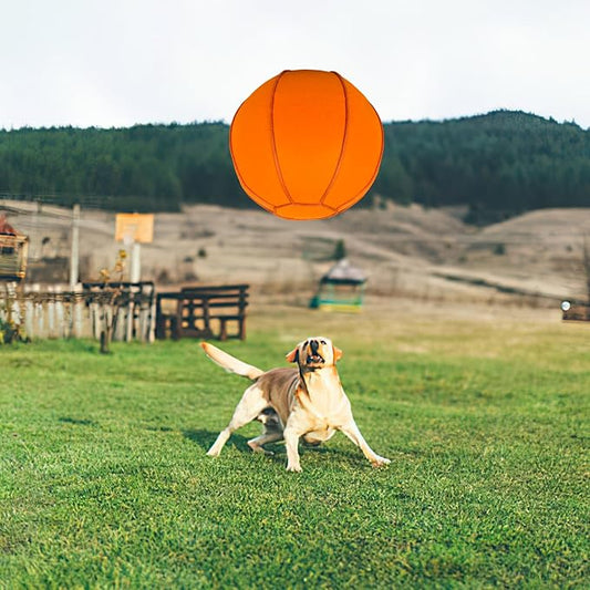 Herding Ball for Dogs, Dual Layered Herding Dog Ball Set for Australian Shepherd - Image 2