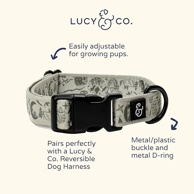 Lucy & Co. Dog Collar - Image 3