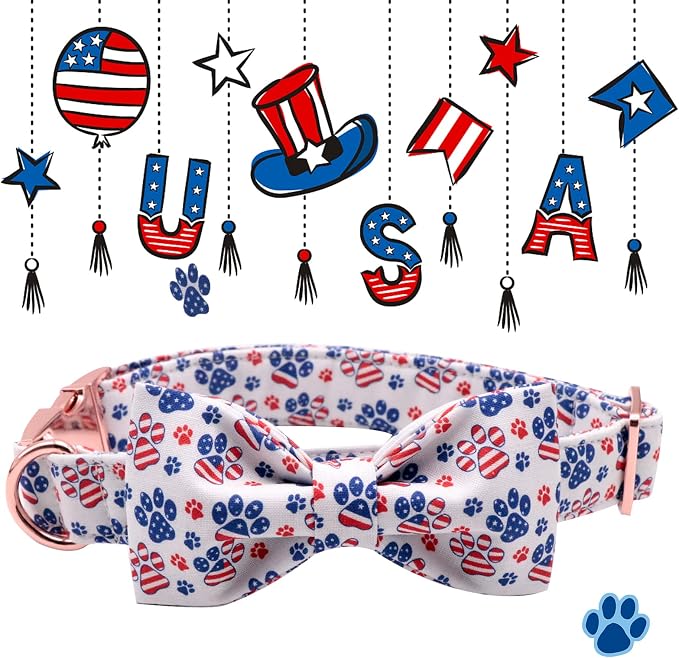 Lionheart Glory American Flag Dog Collar - Image 2