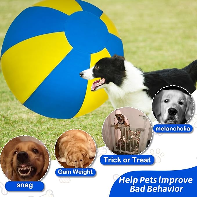 Herding Ball for Dogs, Dual Layered Set for Australian Shepherd, Agility - Image 2
