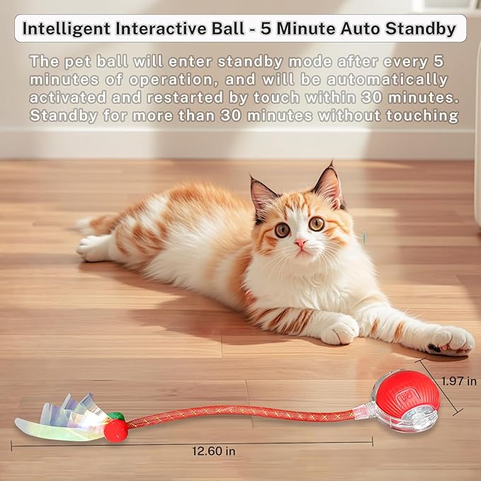 New Upgraded Cat Ball Toy - Image 3