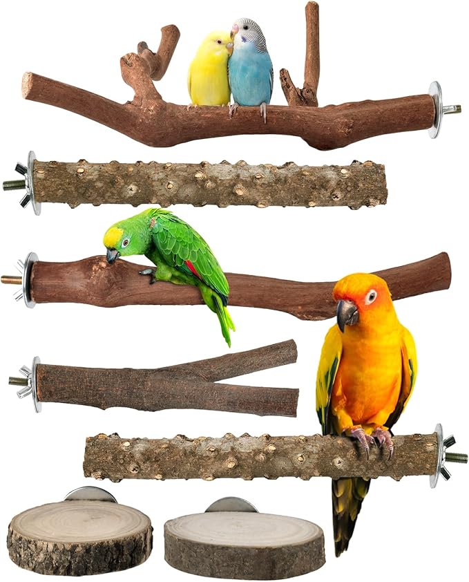 Bissap Bird Perch Stand 7PCS, Natural Grape Wood Pole Standing Parrot Cage by Bissap