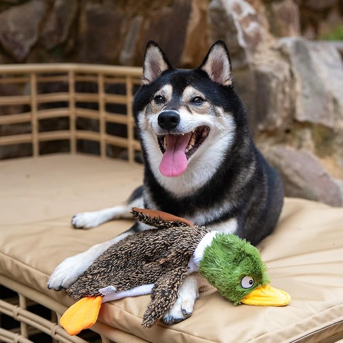 Best Pet Supplies Squeaky Dog Toys - Image 6