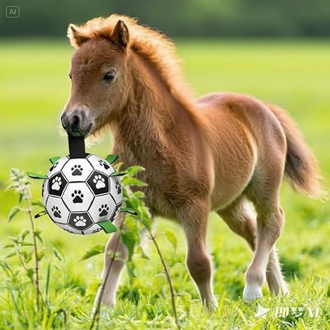 Amasiver Dog Soccer Ball Toys - Image 5
