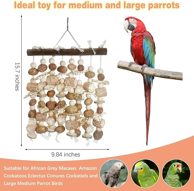 PINVNBY Large Parrot Toys Natural Nuts Corn Cob Wooden Chewing Tearing Toy - Image 3