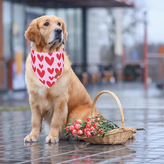PTDECOR Valentine Dog Bandana, Reversible Valentine Pet Scarf - Image 2