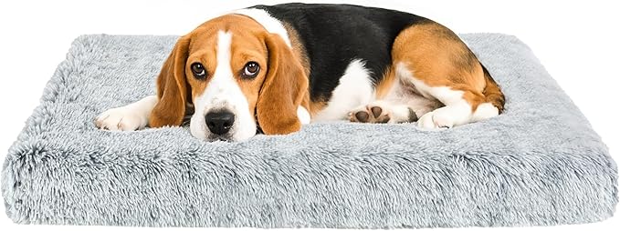 Fluffy Orthopedic Dog Beds for Medium Dogs by Kimpets