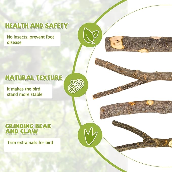 5PCS Natural Wood Bird Perch Set - Image 4