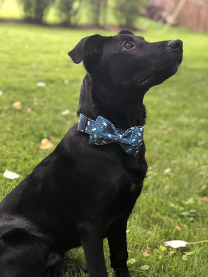 Elegant little tail Dog Collar - Image 5